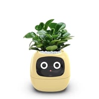Huma Planter 