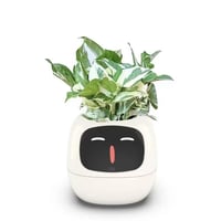 Huma Smart 