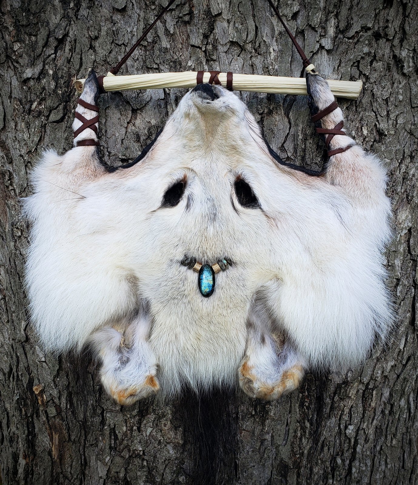 WOLF'S HEAD Ｗピン WOLF'S HEAD – RAMIDUS ONLINE