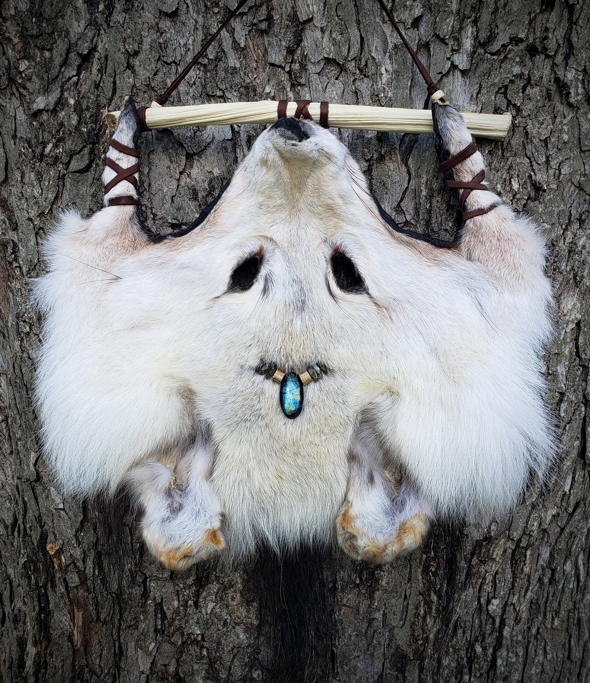 Image of Arctic Lands Wolf Head Wall Hanging