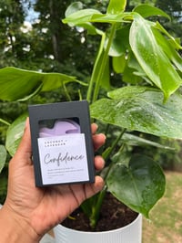 Image 3 of Coconut + Lavendar