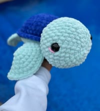 Image 1 of Berry Blue Sea Turtle 