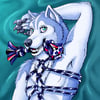 Horatio the Blue Husky Body Pillow