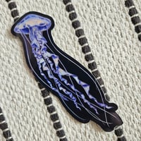 Jellyfish