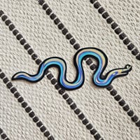 Image 1 of Ribbon Eel