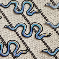 Image 2 of Ribbon Eel