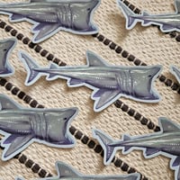 Image 2 of Basking Shark