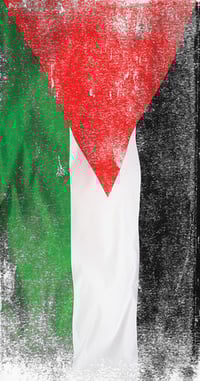 Image 2 of Free Palestine
