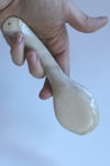 Soup Spoon with Spruce Trees