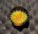 Image 3 of Gold & Silver Fume Air Trap Marble