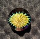 Image 3 of Gold & Silver Fume Air Trap Marble 2