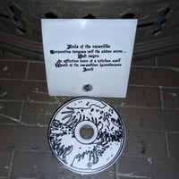 Image 2 of Strigoic Curse -s/t CD