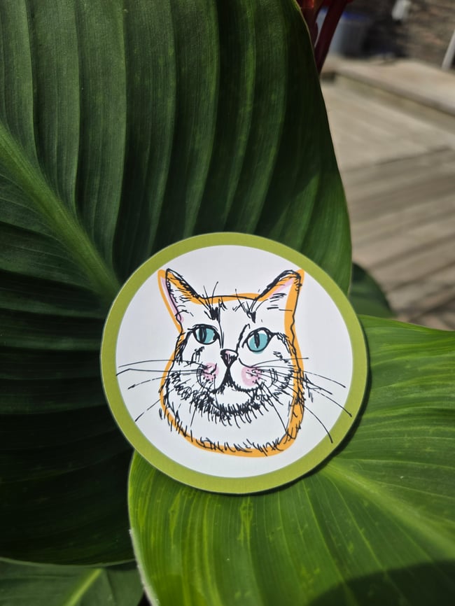 Cat Sticker
