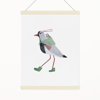 Image 1 of SOUTHERN LAPWING