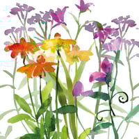 Image 2 of Sweetpeas and Echinacea Greetings Card