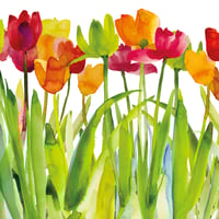 Image 2 of Tulip Festival Greetings Card