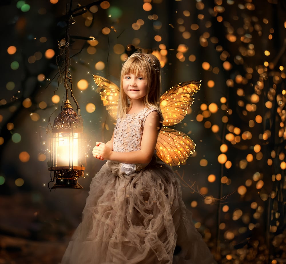 Image of Enchanted Forest Experience Voucher (special offer)