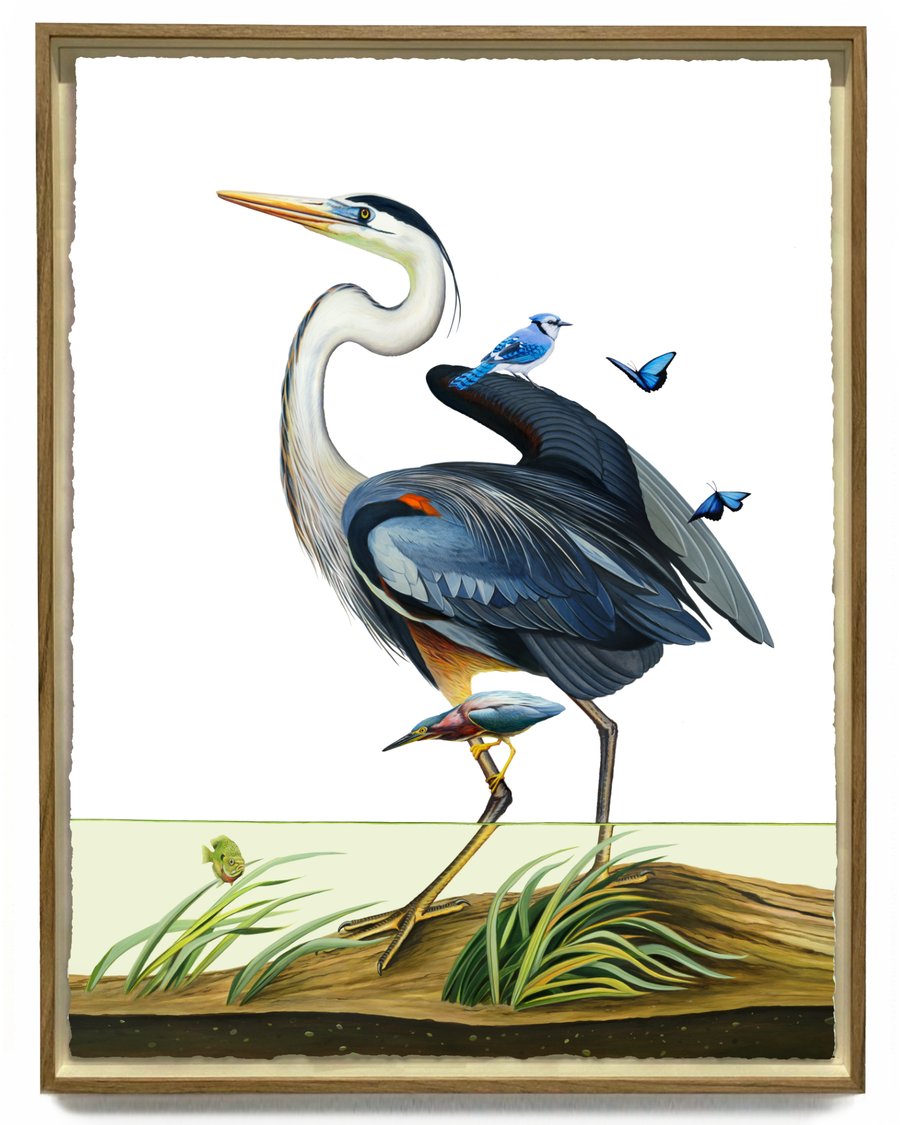 Image of Fishing AP - Blue Jay