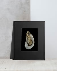Image 2 of Oyster of Joy