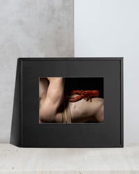 Image 2 of Tied by Tide