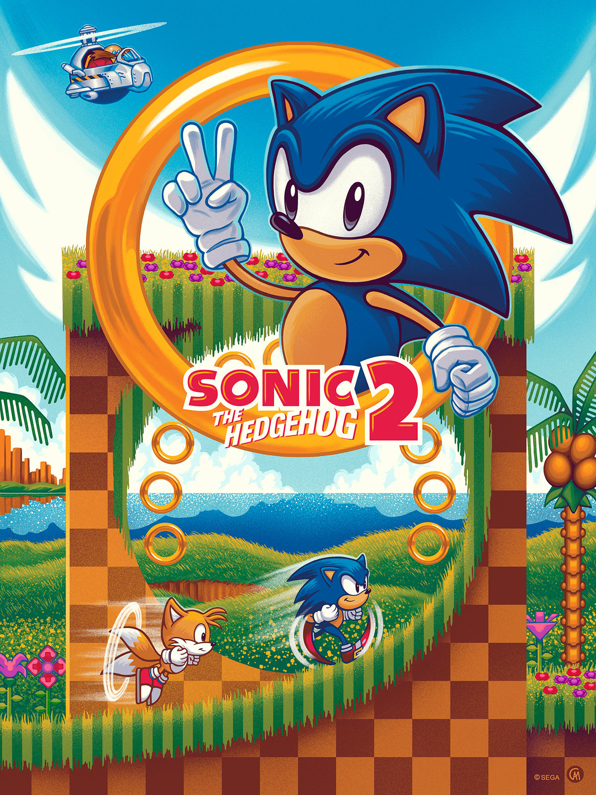 SONIC 2 - ARCHIVAL PRINT - 18x24 | CAMartinArt