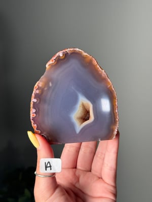 SELF STANDING AGATE GEODES