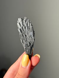 ROUGH BLACK KYANITE CLUSTERS