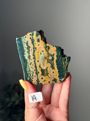 SELF STANDING OLD STOCK OCEAN JASPER SLABS -MADAGASCAR-