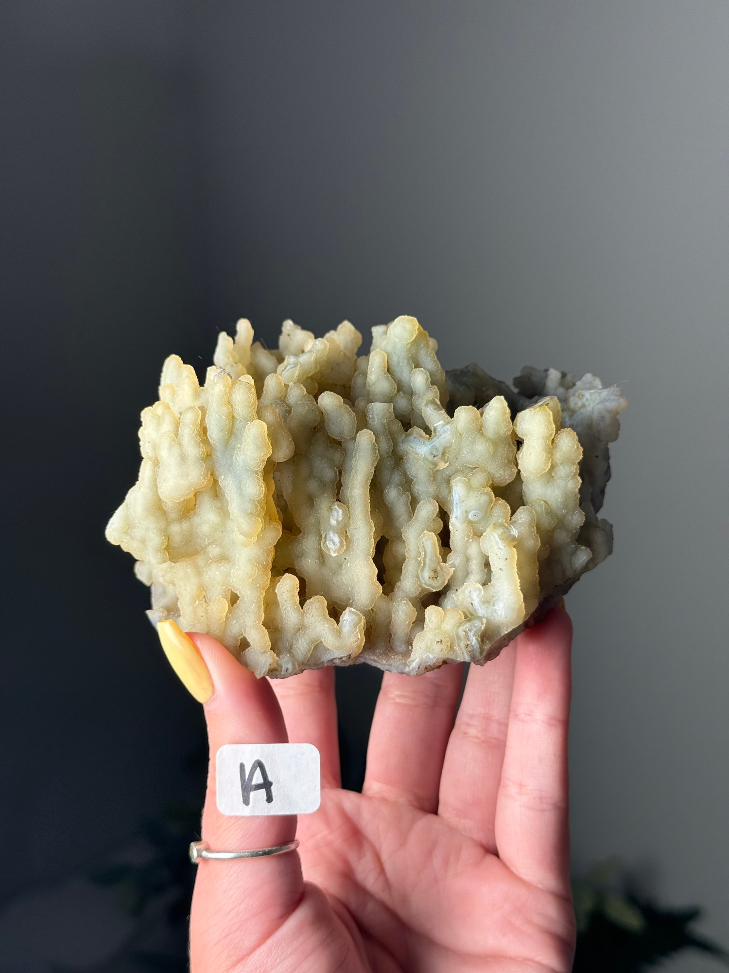 SELF STANDING BOTRYOIDAL CHALCEDONY SPECIMEN -INDIA- A