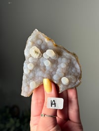 Image 1 of BOTRYOIDAL CHALCEDONY SPECIMENS -INDIA-