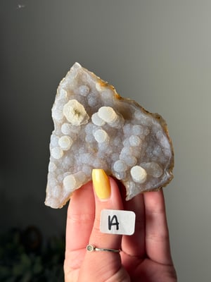 BOTRYOIDAL CHALCEDONY SPECIMENS -INDIA-