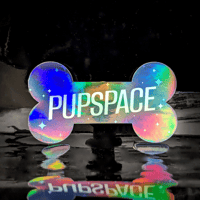 Image 2 of Pupspace - Holographic sticker