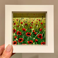 Image 3 of 'Poppy Garden’