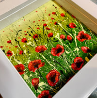 Image 4 of 'Poppy Garden’