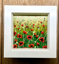 Image 5 of 'Poppy Garden’