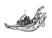 Jaw (Print)