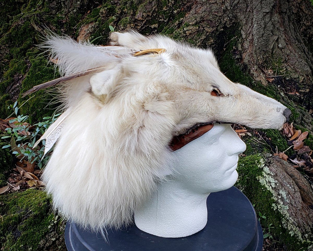 Image of Vintage White Wolf Headdress or Wall Hanger