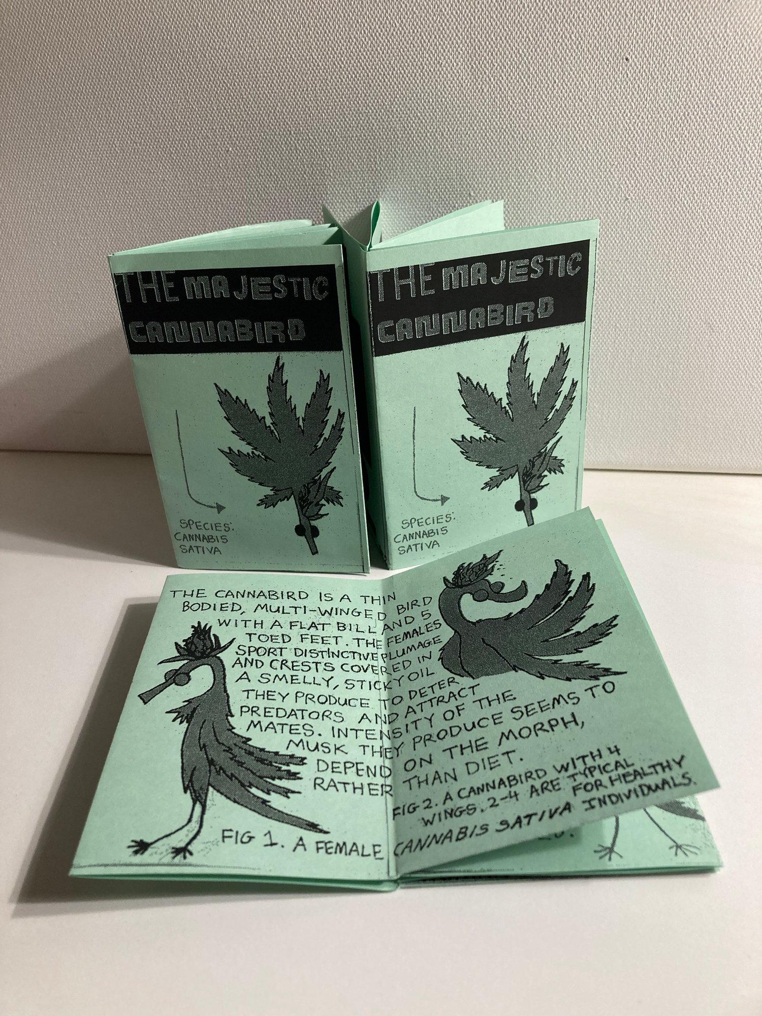 THE MAJESTIC CANNABIRD - ZINE