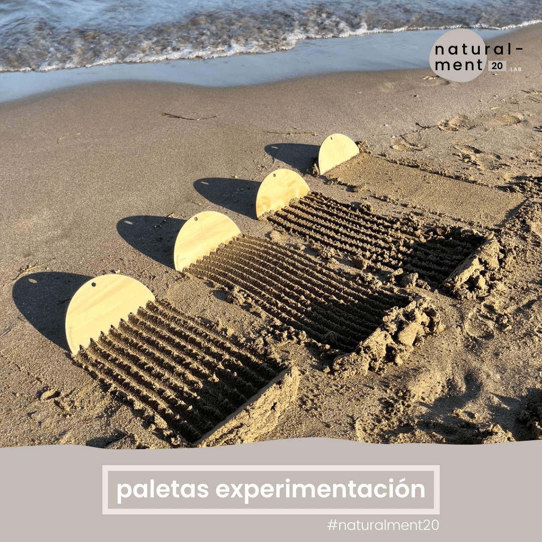 PALES EXPERIMENTACIÓ | PALAS EXPERIMENTACIÓN