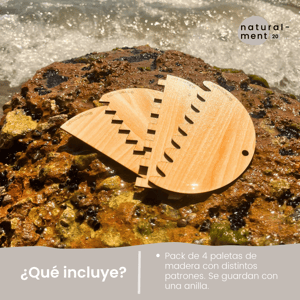 PALES EXPERIMENTACIÓ | PALAS EXPERIMENTACIÓN