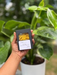 Image 2 of Turmeric & Goats Milk Signature bar