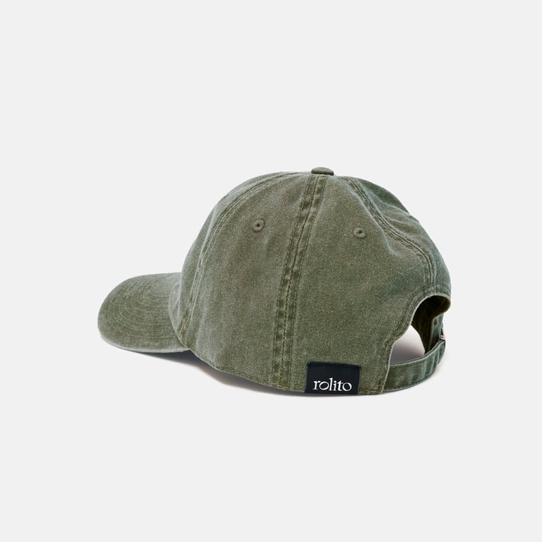 Digg turtle Image 3