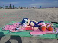 Image 5 of Amy Beach Towel! (70 x35in)