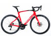 Carbon Road Bike Rental