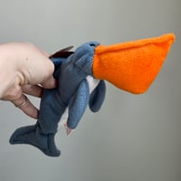 Pelican Shark