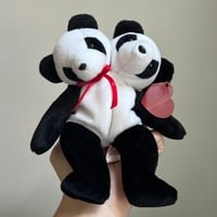 Panda Panda