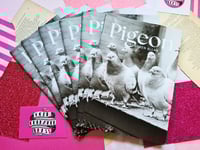 Image 1 of Distro: Pigeon