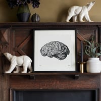 Image 2 of Anatomy Of The Brain