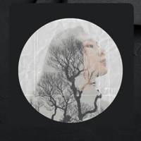 Sesión transgeneracional- Analisis del árbol genealógico