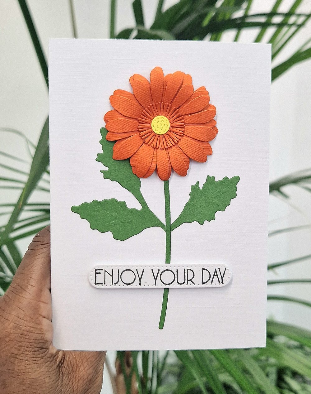 Image of Gerbera Day 